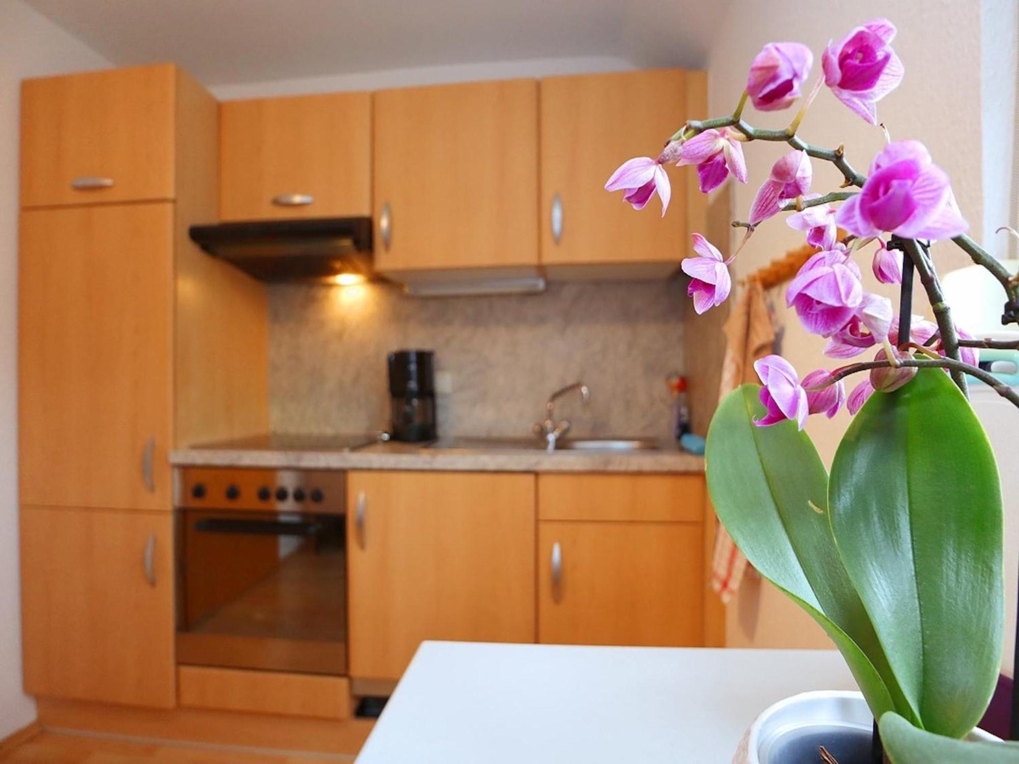 Cozy Apartment In Schwenningen With Garden Villingen-Schwenningen Εξωτερικό φωτογραφία