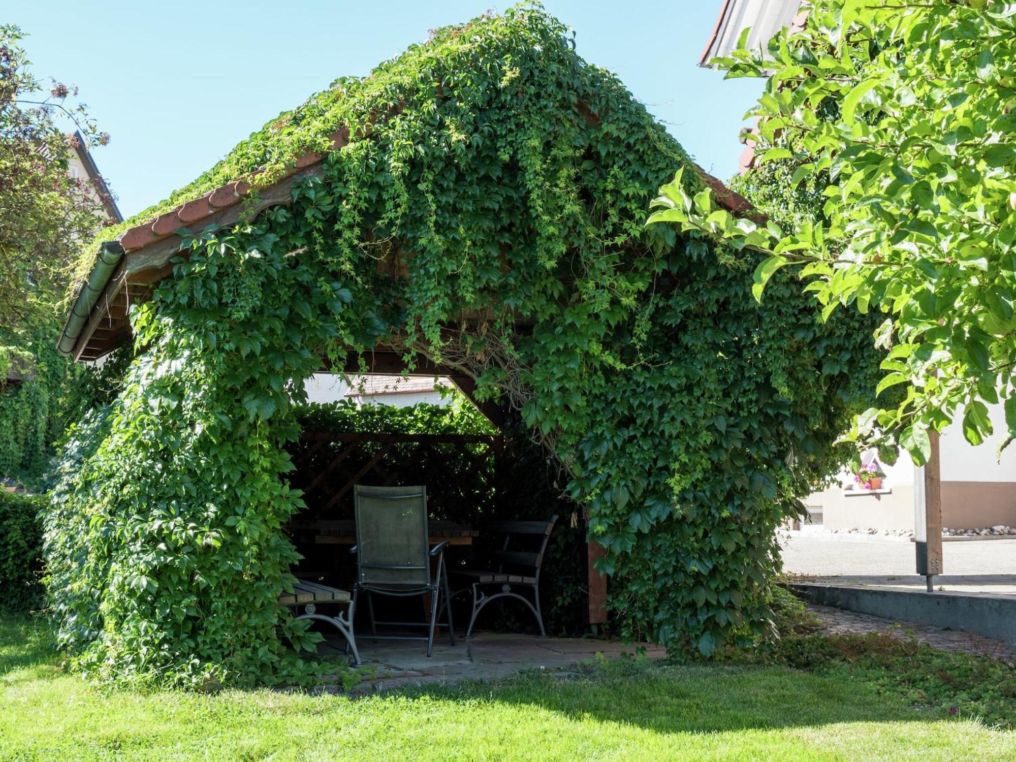 Cozy Apartment In Schwenningen With Garden Villingen-Schwenningen Εξωτερικό φωτογραφία